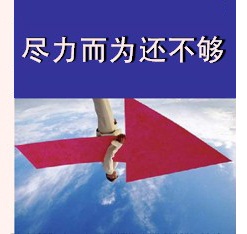 尽力而为还不够