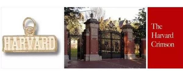 哈佛录取什么样的人