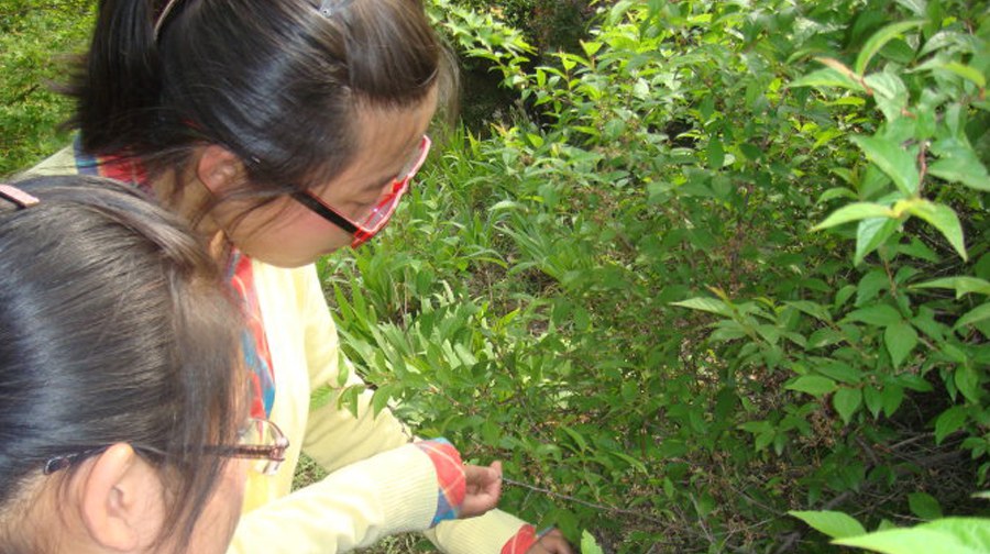 春游去喽！——春暖花开，携子踏青