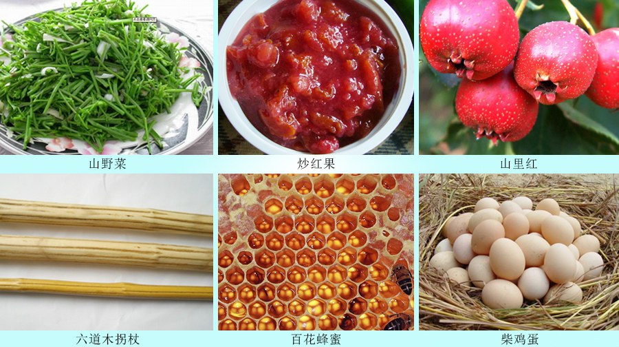 春游去喽！——春暖花开，携子踏青